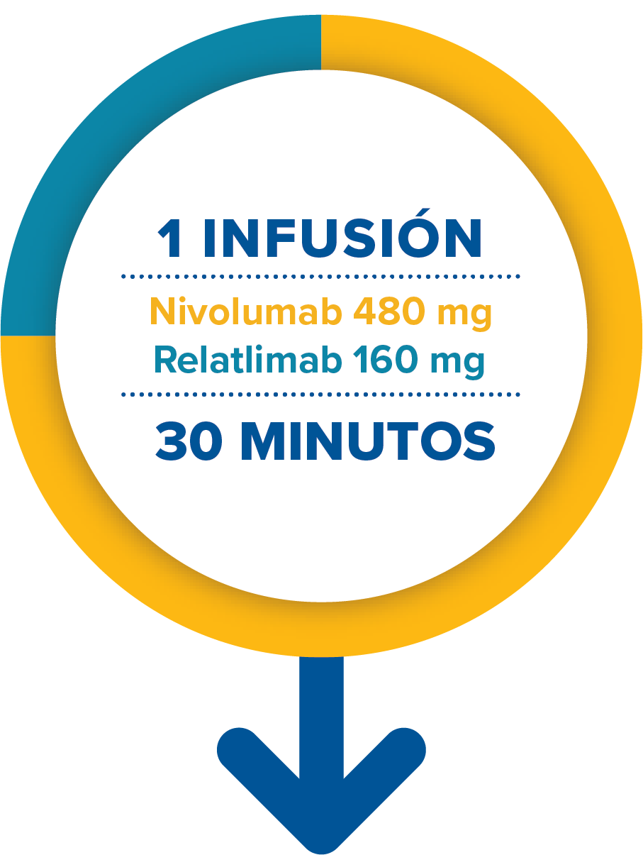 1 infusión de Opdualag toma 30 minutos en administrarse y contiene 480 mg de nivolumab y 160 mg de relatlimab.