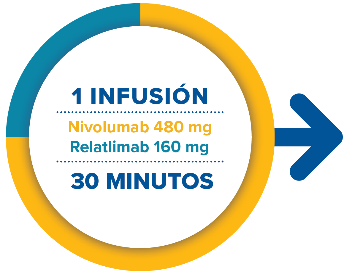 1 infusión de Opdualag toma 30 minutos en administrarse y contiene 480 mg de nivolumab y 160 mg de relatlimab.